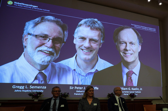 За какое исследование присудили Нобелевскую премию по медицине в 2019 году