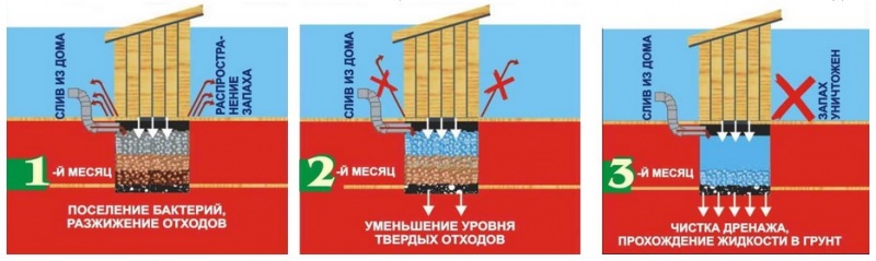 Как применять бактерии для туалета на даче
