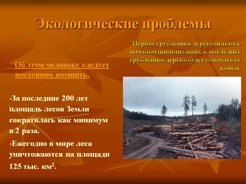 Киров: краткая информация, экологическая ситуация, проблемы и их решение