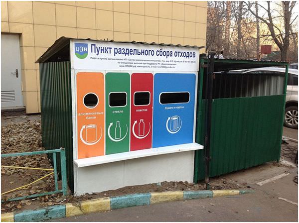 Сбор и сортировка мусора в россии и опыт других стран