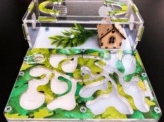 Муравьиная ферма: необычные домашние питомцы