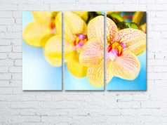 Изготовление картин на холсте