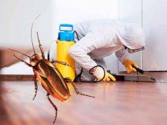 Профессиональная помощь в уничтожении тараканов