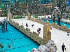 Детям какого возраста будет интересно в парке Остров Мечты?