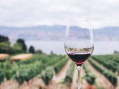 Вина Нового Света: откуда они и чем отличаются