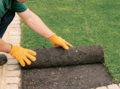 Укладка рулонного газона: какие особенности следует учесть