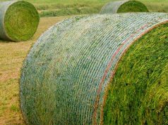 Шпагат, сетка, пленка — как выбрать и использовать правильно