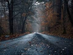 Как правильно проложить асфальт для частных нужд