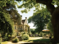 Уют и комфорт: идеальный отдых в парк-отеле