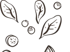 Токсичность эфирных масел: миф или реальность? Разбираем риски и противопоказания