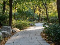 Тротуарная плитка: виды, преимущества и выбор