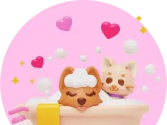 Как понять, что у питомца аллергия и что делать владельцу