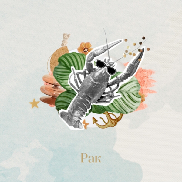 Гороскоп на сегодня 19 декабря: Овны будут зажигалками, а Тельцов ждет успех