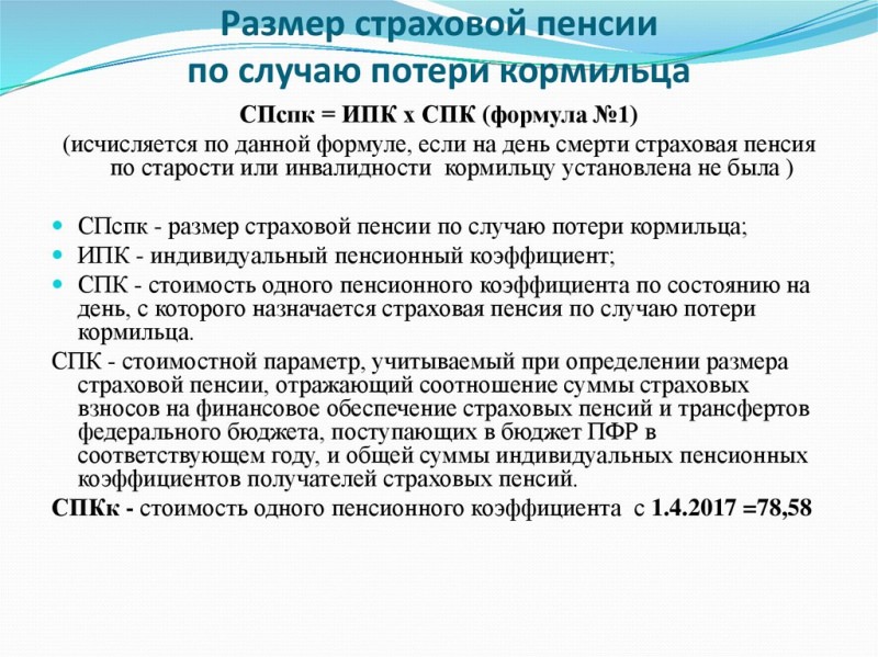 Условия назначения страховой пенсии по случаю потери кормильца в 2018 году — все о пенсии